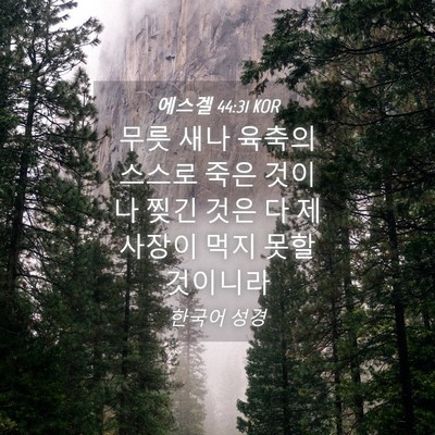 Picture 04 - 에스겔 44:31 KOR - 무릇 새나 육축의 스스로 죽은 - Bible Verse Picture