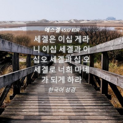 Picture 04 - 에스겔 45:12 KOR - 세겔은 이십 게라니 이십 세겔과 - Bible Verse Picture