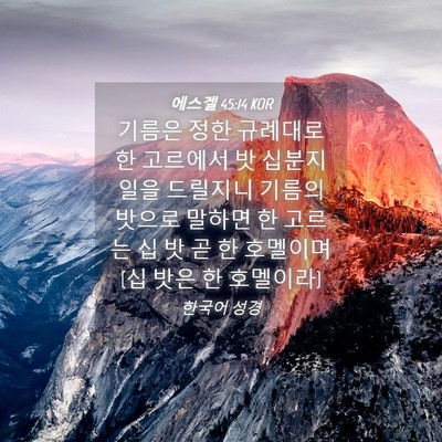 Picture 04 - 에스겔 45:14 KOR - 기름은 정한 규례대로 한 고르에서 - Bible Verse Picture