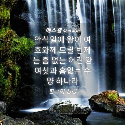Picture 04 - 에스겔 46:4 KOR - 안식일에 왕이 여호와께 드릴 번제는 - Bible Verse Picture