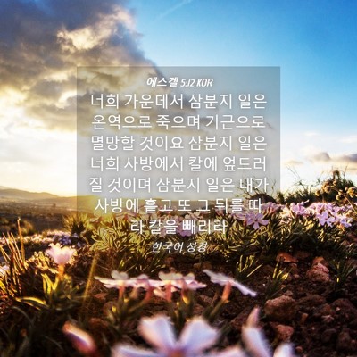 Picture 04 - 에스겔 5:12 KOR - 너희 가운데서 삼분지 일은 온역으로 - Bible Verse Picture