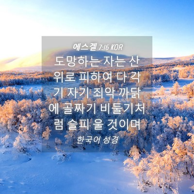 Picture 04 - 에스겔 7:16 KOR - 도망하는 자는 산 위로 피하여 다 - Bible Verse Picture