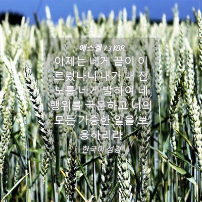 Picture 04 - 에스겔 7:3 KOR - 이제는 네게 끝이 이르렀나니 내가 - Bible Verse Picture