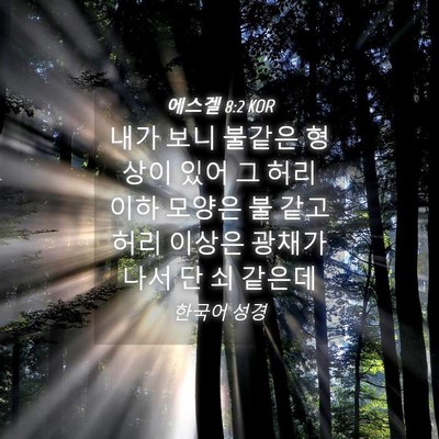Picture 04 - 에스겔 8:2 KOR - 내가 보니 불같은 형상이 있어 그 - Bible Verse Picture