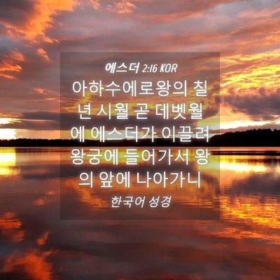 Picture 04 - 에스더 2:16 KOR - 아하수에로왕의 칠년 시월 곧 - Bible Verse Picture