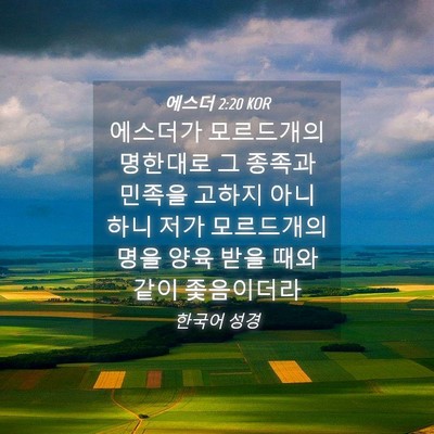Picture 04 - 에스더 2:20 KOR - 에스더가 모르드개의 명한대로 그 - Bible Verse Picture