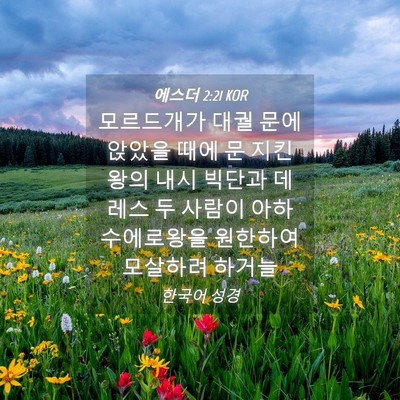 Picture 04 - 에스더 2:21 KOR - 모르드개가 대궐 문에 앉았을 때에 - Bible Verse Picture