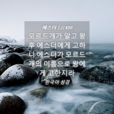 Picture 04 - 에스더 2:22 KOR - 모르드개가 알고 왕후 에스더에게 - Bible Verse Picture