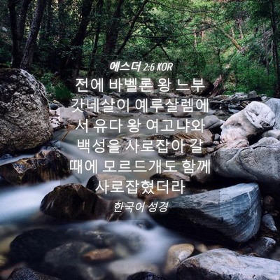 Picture 04 - 에스더 2:6 KOR - 전에 바벨론 왕 느부갓네살이 - Bible Verse Picture