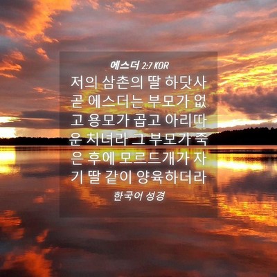 Picture 04 - 에스더 2:7 KOR - 저의 삼촌의 딸 하닷사 곧 에스더는 - Bible Verse Picture