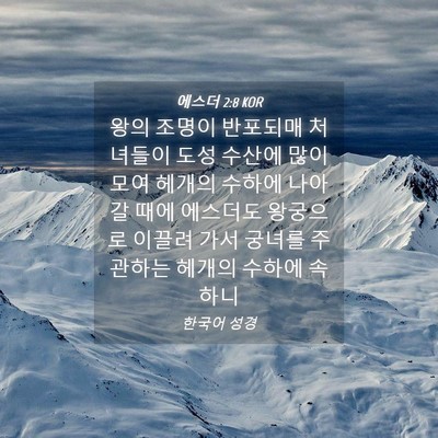Picture 04 - 에스더 2:8 KOR - 왕의 조명이 반포되매 처녀들이 도성 - Bible Verse Picture
