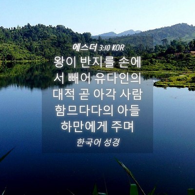 Picture 04 - 에스더 3:10 KOR - 왕이 반지를 손에서 빼어 유다인의 - Bible Verse Picture