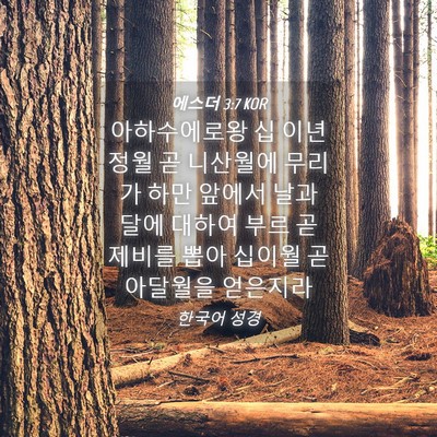 Picture 04 - 에스더 3:7 KOR - 아하수에로왕 십 이년 정월 곧 - Bible Verse Picture