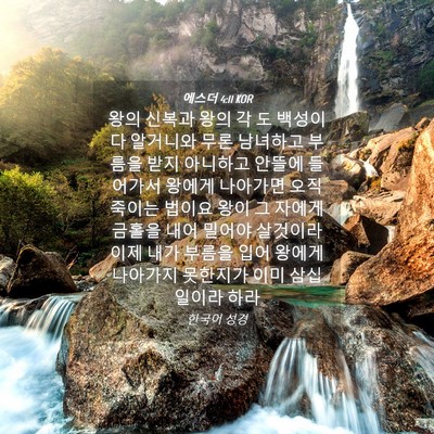 Picture 04 - 에스더 4:11 KOR - 왕의 신복과 왕의 각 도 백성이 다 - Bible Verse Picture