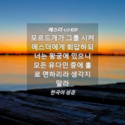 Picture 04 - 에스더 4:13 KOR - 모르드개가 그를 시켜 에스더에게 - Bible Verse Picture