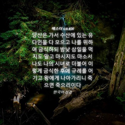 Picture 04 - 에스더 4:16 KOR - 당신은 가서 수산에 있는 유다인을 - Bible Verse Picture
