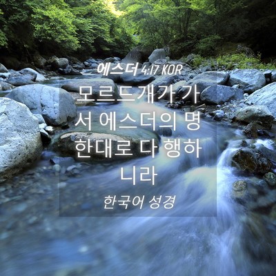Picture 04 - 에스더 4:17 KOR - 모르드개가 가서 에스더의 명한대로 - Bible Verse Picture