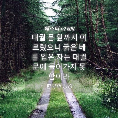 Picture 04 - 에스더 4:2 KOR - 대궐 문 앞까지 이르렀으니 굵은 - Bible Verse Picture