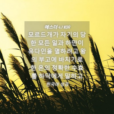 Picture 04 - 에스더 4:7 KOR - 모르드개가 자기의 당한 모든 일과 - Bible Verse Picture