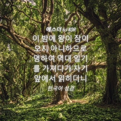 Picture 04 - 에스더 6:1 KOR - 이 밤에 왕이 잠이 오지 아니하므로 - Bible Verse Picture