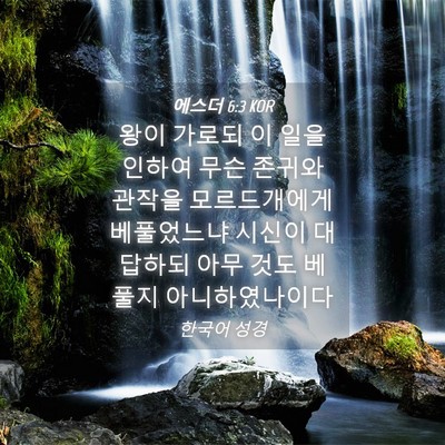 Picture 04 - 에스더 6:3 KOR - 왕이 가로되 이 일을 인하여 무슨 - Bible Verse Picture