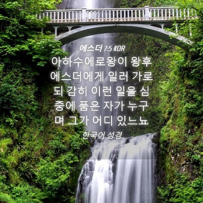 Picture 04 - 에스더 7:5 KOR - 아하수에로왕이 왕후 에스더에게 - Bible Verse Picture