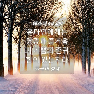 Picture 04 - 에스더 8:16 KOR - 유다인에게는 영광과 즐거움과 - Bible Verse Picture