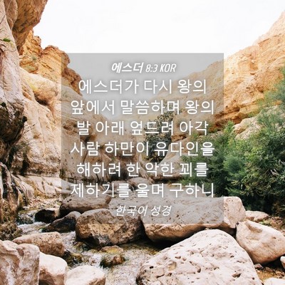 Picture 04 - 에스더 8:3 KOR - 에스더가 다시 왕의 앞에서 말씀하며 - Bible Verse Picture