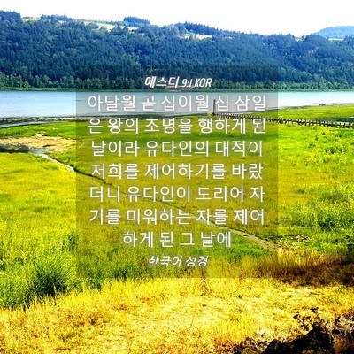 Picture 04 - 에스더 9:1 KOR - 아달월 곧 십이월 십 삼일은 왕의 - Bible Verse Picture