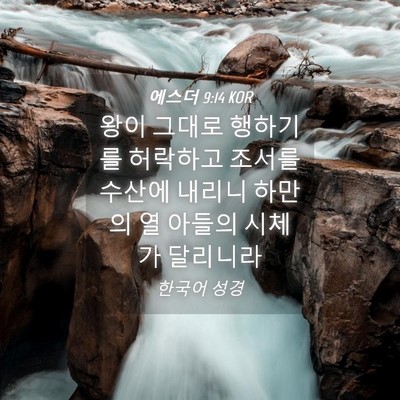 Picture 04 - 에스더 9:14 KOR - 왕이 그대로 행하기를 허락하고 - Bible Verse Picture