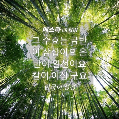 Picture 04 - 에스라 1:9 KOR - 그 수효는 금반이 삼십이요 은반이 - Bible Verse Picture