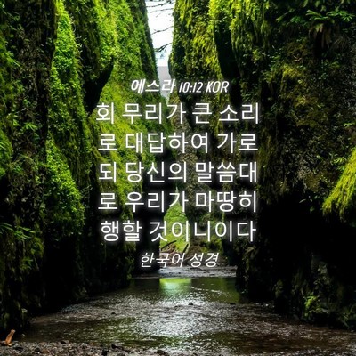 Picture 04 - 에스라 10:12 KOR - 회 무리가 큰 소리로 대답하여 - Bible Verse Picture