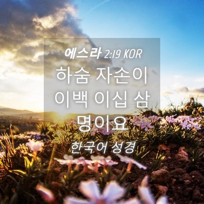 Picture 04 - 에스라 2:19 KOR - 하숨 자손이 이백 이십 - Bible Verse Picture
