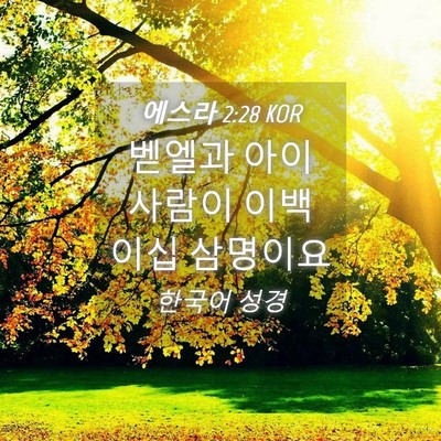 Picture 04 - 에스라 2:28 KOR - 벧엘과 아이 사람이 이백 이십 - Bible Verse Picture