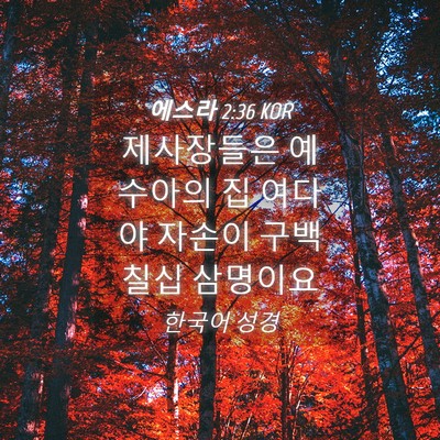 Picture 04 - 에스라 2:36 KOR - 제사장들은 예수아의 집 여다야 - Bible Verse Picture