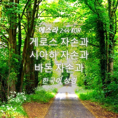 Picture 04 - 에스라 2:44 KOR - 게로스 자손과 시아하 자손과 바돈 - Bible Verse Picture
