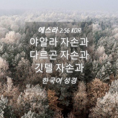 Picture 04 - 에스라 2:56 KOR - 야알라 자손과 다르곤 자손과 깃델 - Bible Verse Picture