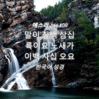 Picture 04 - 에스라 2:66 KOR - 말이 칠백 삼십 륙이요 노새가 이백 - Bible Verse Picture