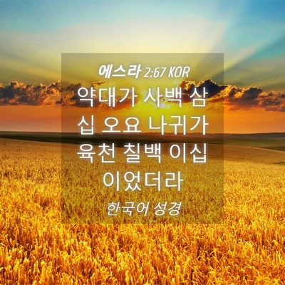 Picture 04 - 에스라 2:67 KOR - 약대가 사백 삼십 오요 나귀가 육천 - Bible Verse Picture