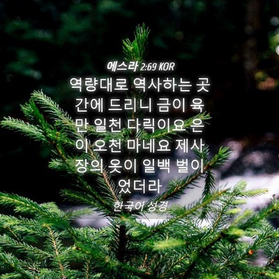 Picture 04 - 에스라 2:69 KOR - 역량대로 역사하는 곳간에 드리니 - Bible Verse Picture