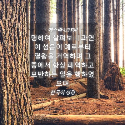 Picture 04 - 에스라 4:19 KOR - 명하여 살펴보니 과연 이 성읍이 - Bible Verse Picture