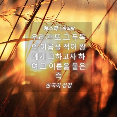 Picture 04 - 에스라 5:10 KOR - 우리가 또 그 두목의 이름을 적어 - Bible Verse Picture