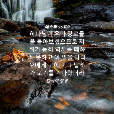 Picture 04 - 에스라 5:5 KOR - 하나님이 유다 장로들을 - Bible Verse Picture