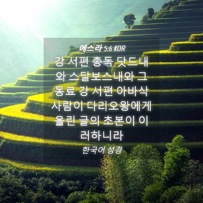 Picture 04 - 에스라 5:6 KOR - 강 서편 총독 닷드내와 스달보스내와 - Bible Verse Picture