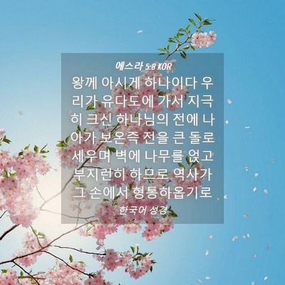 Picture 04 - 에스라 5:8 KOR - 왕께 아시게 하나이다 우리가 - Bible Verse Picture