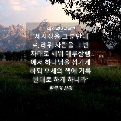 Picture 04 - 에스라 6:18 KOR - 