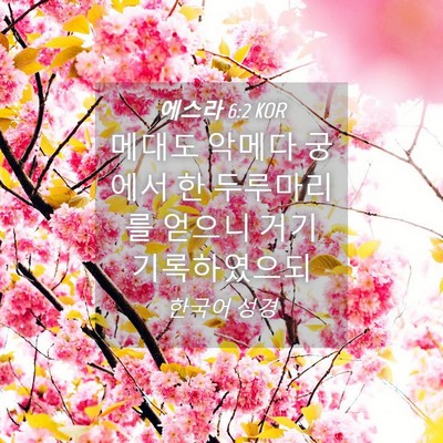 Picture 04 - 에스라 6:2 KOR - 메대도 악메다 궁에서 한 두루마리를 - Bible Verse Picture