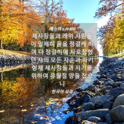 Picture 04 - 에스라 6:20 KOR - 제사장들과 레위 사람들이 일제히 - Bible Verse Picture