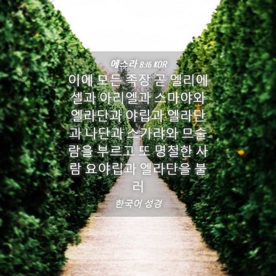 Picture 04 - 에스라 8:16 KOR - 이에 모든 족장 곧 엘리에셀과 - Bible Verse Picture