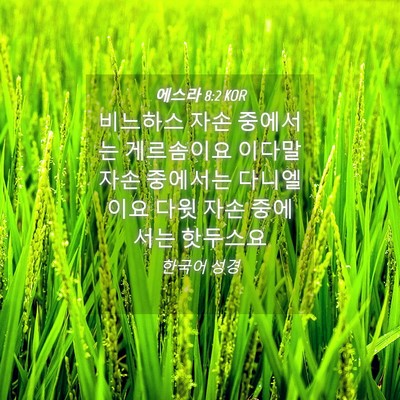 Picture 04 - 에스라 8:2 KOR - 비느하스 자손 중에서는 게르솜이요 - Bible Verse Picture